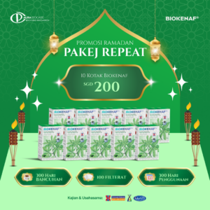 PAKEJ REPEAT 10 KOTAK