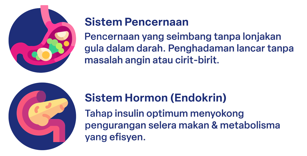 Manfaat Biokenaf untuk Sistem Pencernaan & Sistem Hormon