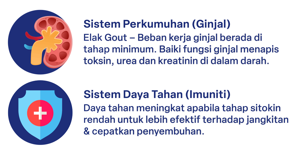 Manfaat Biokenaf untuk Sistem Perkumuhan & Sistem Daya Tahan